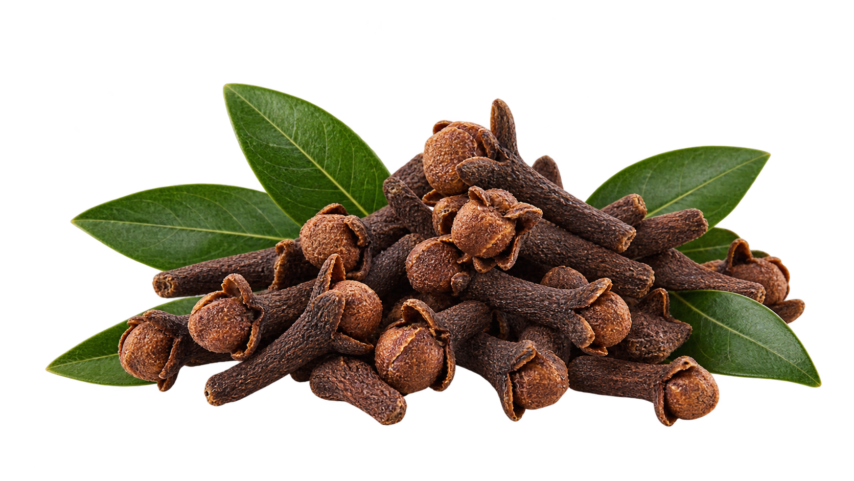 Cloves